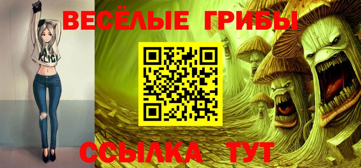 Галлюциногенные грибы Magic Shrooms Камышлов