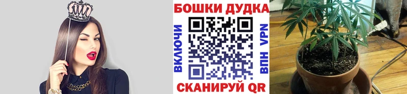 где купить   Камышлов  Марихуана Amnesia 